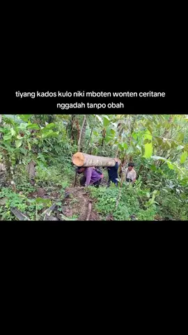 #kuliangkutkayu #halalituindah 