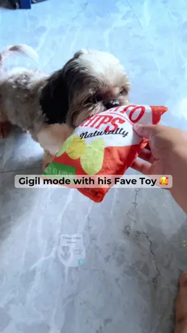 Satisfying ba yan beh? #chipstoyfordogs #squeakytoyfordogs #toysforpets #pettoys #chewtoysfordogs 