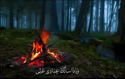 قران قران قران قران قران قران قران قران قران قران 