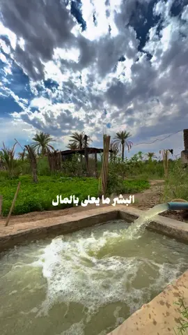 البشر ما يعلى بالمال #3tr5l 