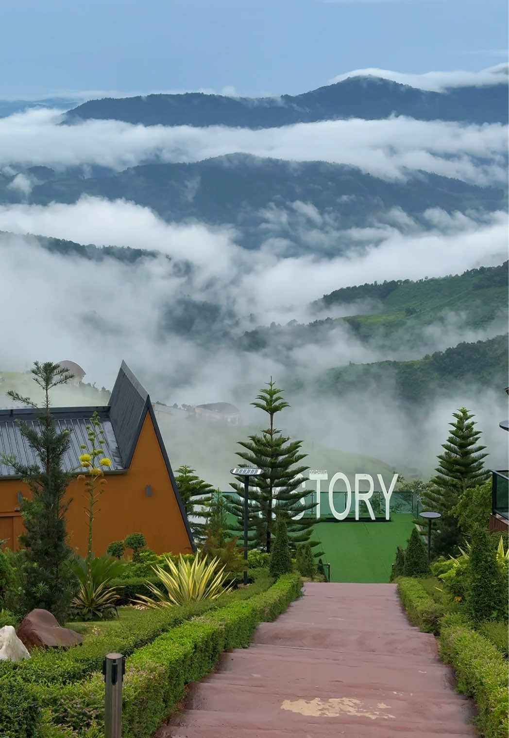 ที่พักดอยช้าง เชียงราย 📍@My story Doichang วิวภูเขากับทะเลหมอก สวยมาก 🥰🌿🍃 ที่นี่เห็นวิวภูเขาแบบ 180 องศา บอกเลยว่าปังมาก ที่นี่มีคาเฟ่ให้บริการด้วย มาดอยช้าง ต้องมา!  #ดอยช้าง #ดอยช้างเชียงราย #ที่พักดอยช้าง #เที่ยวเชียงราย #ที่พักเชียงราย 