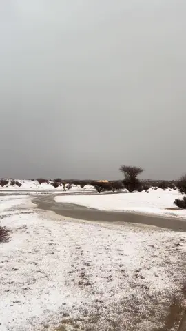 يشوقني برق الحيا وين مالاح #تصويري #خالد_ال_بريك #اكسبلورexplore #احمد_الجويدي #هاشتاقات_تيك_توك_العرب 