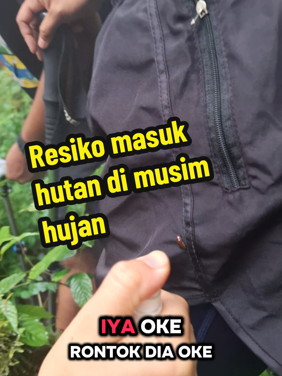 resiko masuk hutan dimmusin hujan#fypviraltiktok🖤シ゚☆♡ #mountains #pendakiindonesia #FiturSuaraTikTok #fypviraltiktok🖤シ゚☆♡ @ngebett adventure @Cahyani Pozt @Baladevyoga 