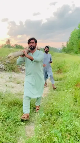 Yalka sok darna warik dy#pashtocomedy#RTvines#rtvines2 #foryou 