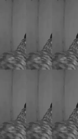 #fypppppppppppppp  #4upageシ 