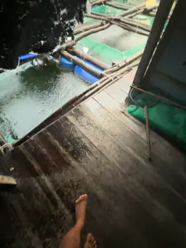 người mang cho anh, tổn thương anh vẫn yêu..