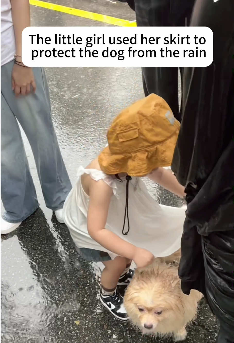 Cute baby take care of dogs 🥹🥹#baby #dog #friends #fyp #puppy 
