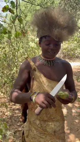“Wild cucumber vibes 🌿✨” “Our Hadzabe hunter is peeling wild African cucumber melon—but look at that colour and texture! 😍 He eats them regularly, this one’s just extra juicy. These wild fruits grow everywhere in the bush, especially when the rains fade & season warms (Sept-May). Nature’s snack = pure flavour & tradition.” #WildCucumber #Hadzabe #TribalFruit #NatureSnack #CulturalHeritage