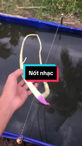 🎵🎶 âm nhạc ghe ngo@trọng phúc 💢 @Trường Làng @Tấn Ghe Ngo 🧜🏻‍♂️⚡️ @Trang phát🛶🚣 @gioiii🚀 #ghengodiendien #ghengomini #ghengosoctrang #xh #xuhuongtiktok 