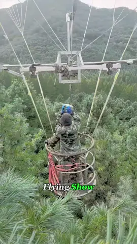 This Balloon Lets Them Pick Pinecones 40 Feet Up 🎈 #pinenuts #balloon #harvest #fyp #foryou #oddlysatisfying #knowledge #farmer #pinecone 