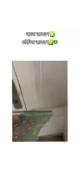 চাইনিজ ব্যাকরণ🙂