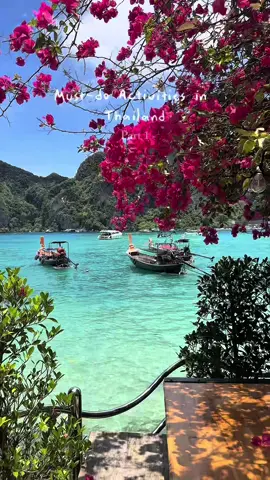 3 must do experiences in Thailand, links to the exact trips in my bio 🫶🏼🇹🇭🌺🐘 #thailand #thailandtrip #thailandtravel #kohsamuithailand #kohtao 