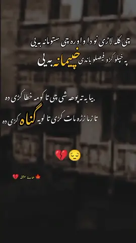 Ta zAmA zRa mAt kArY tA lUyA gUnAh kArY dA 💔😔 #foryou #viral #sadstory #lans #pashtopoetry 