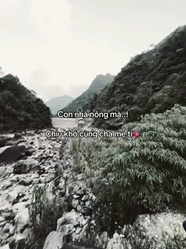 Phải chịu thôi🫀#duydung_01 