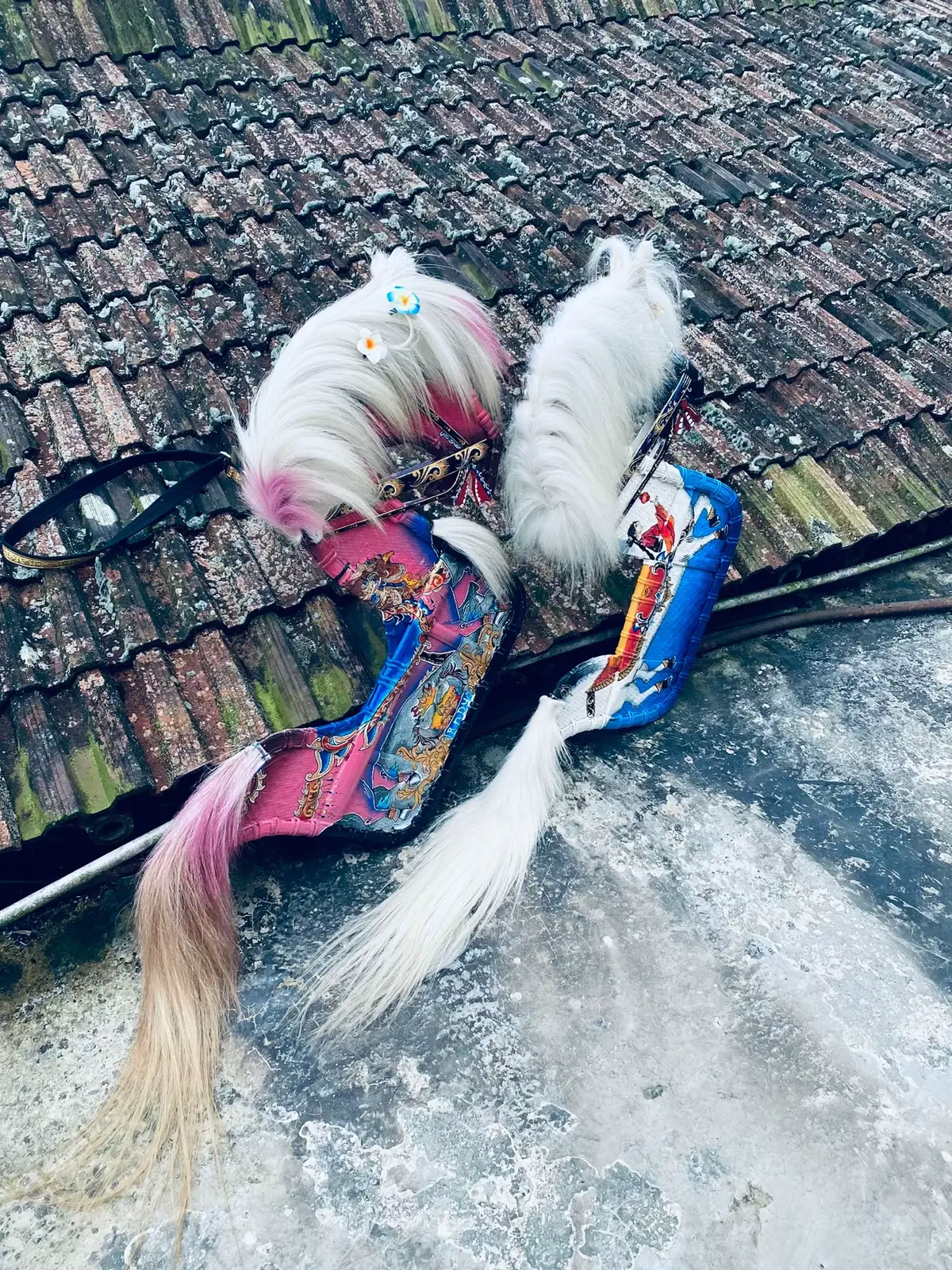 redy sewa kuda lumping  @Trokkk   @S🅰️NCILL.  wa : +62 858-6451-8252       : +62 857-2747-7342  sewa jaran cocok buat cewe🤩🤩# #sewajaran  #jaranpinkimut #fypage  #temanggunghits  #temanggung24jam 