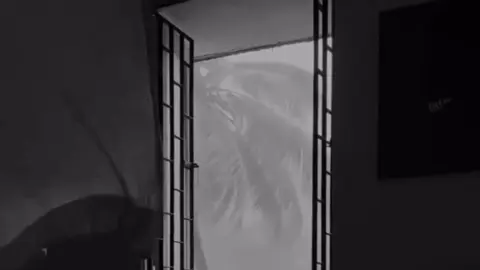 ដំបូងក៏យល់ថាគេល្អ ប៉ុន្តែគេសម្ដែងទេ