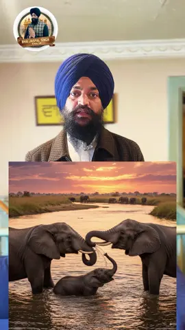 #highlight #fyp #viralvideo #viral #Love 