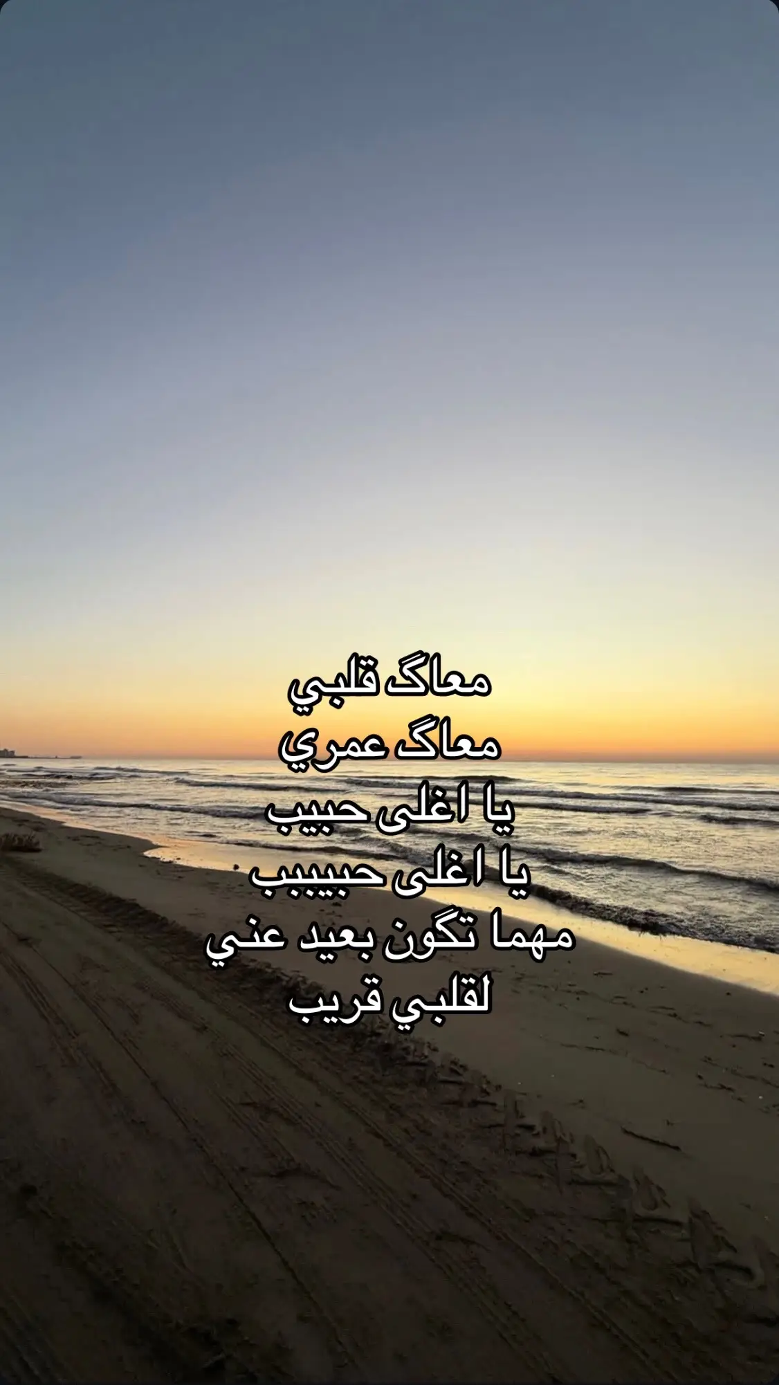 معاك قلبي معاك عمري يا اغلى حبيب🥹❤️ #عمرو دياب