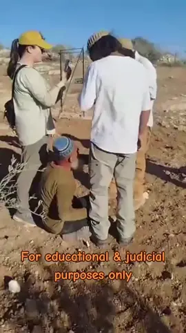 #stopthegenoside #stoppslestinianholocaust #stopzionazism#stopillegaloccupation#stopmurderingjournalist