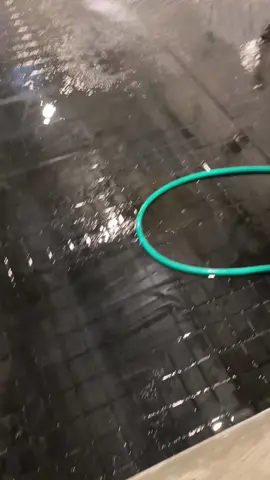 pemasangan karpet sapi di malang full kandang ukuran panjang 8 meter x lebar 270 #peternaksapiindonesia #peternakmuda #sapimalangraya #nkkaretconveyor