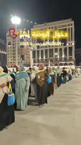 دخول الروضة الشريفة - القافلة المحمدية 2025 #عمرة #المدينة_المنورة #algeria #fyp #foryou 