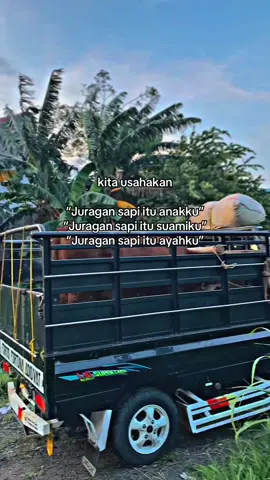😇😇#bismillahfyp #juraganmuda #peternakmuda 