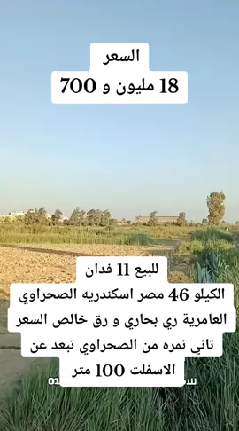 للبيع 11 فدان الكيلو 46 مصر اسكندريه الصحراوي العامرية ري بحاري و رق خالص السعر تاني نمره من الصحراوي تبعد عن الاسفلت 100 متر  #للبيع #مزرعة #مصر 