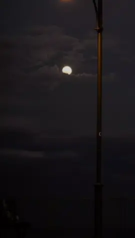 انا عارفك خلاص ارتحت🥺💔 #فارس_قطرية #fares_katarya   #شعر #مؤمن_عيد #فراق