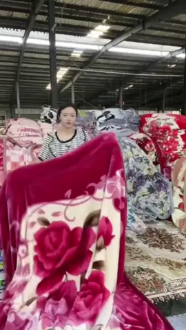 Mền thu đông tuyết nhung #chanlongtuyet #mentuyetnhunggiare #chanlongcuu #channhung #changagoinem 