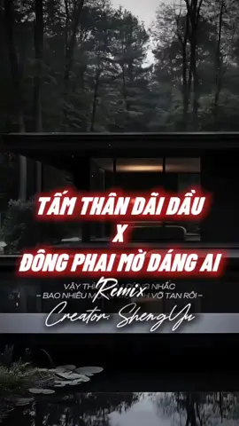 Tấm Thân Dãi Dầu x Đông Phai Mờ Dáng Ai Remix | Nhạc 3 Ảnh Cuốn #nhachaymoingay #盛宇shengyu #capcut #capcutpioneer #pioneertemplate 