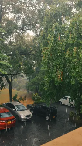 🍃❤️‍🩹 @naduniamayapathir #creatorsearchinsights #fypage #sliate #atidehiwala #fyppppppppppppppppppppppp 