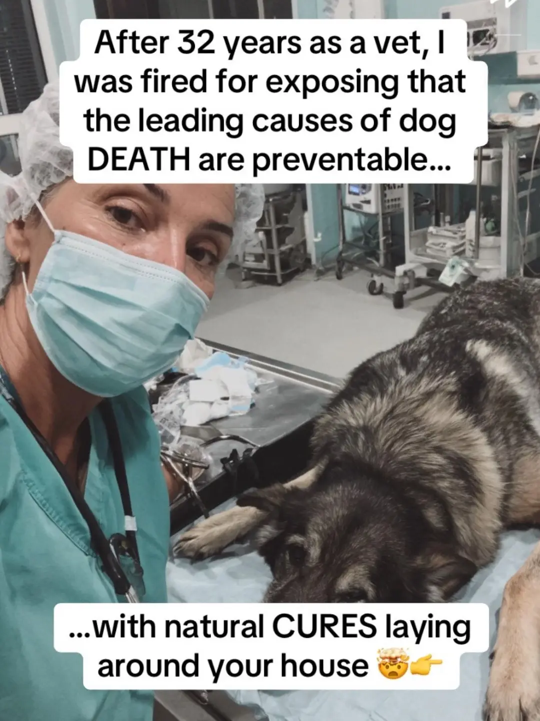 #bugmd #usa #manhattan #doghealth 