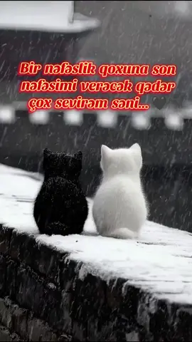 ...... ✍️#keşfeett 