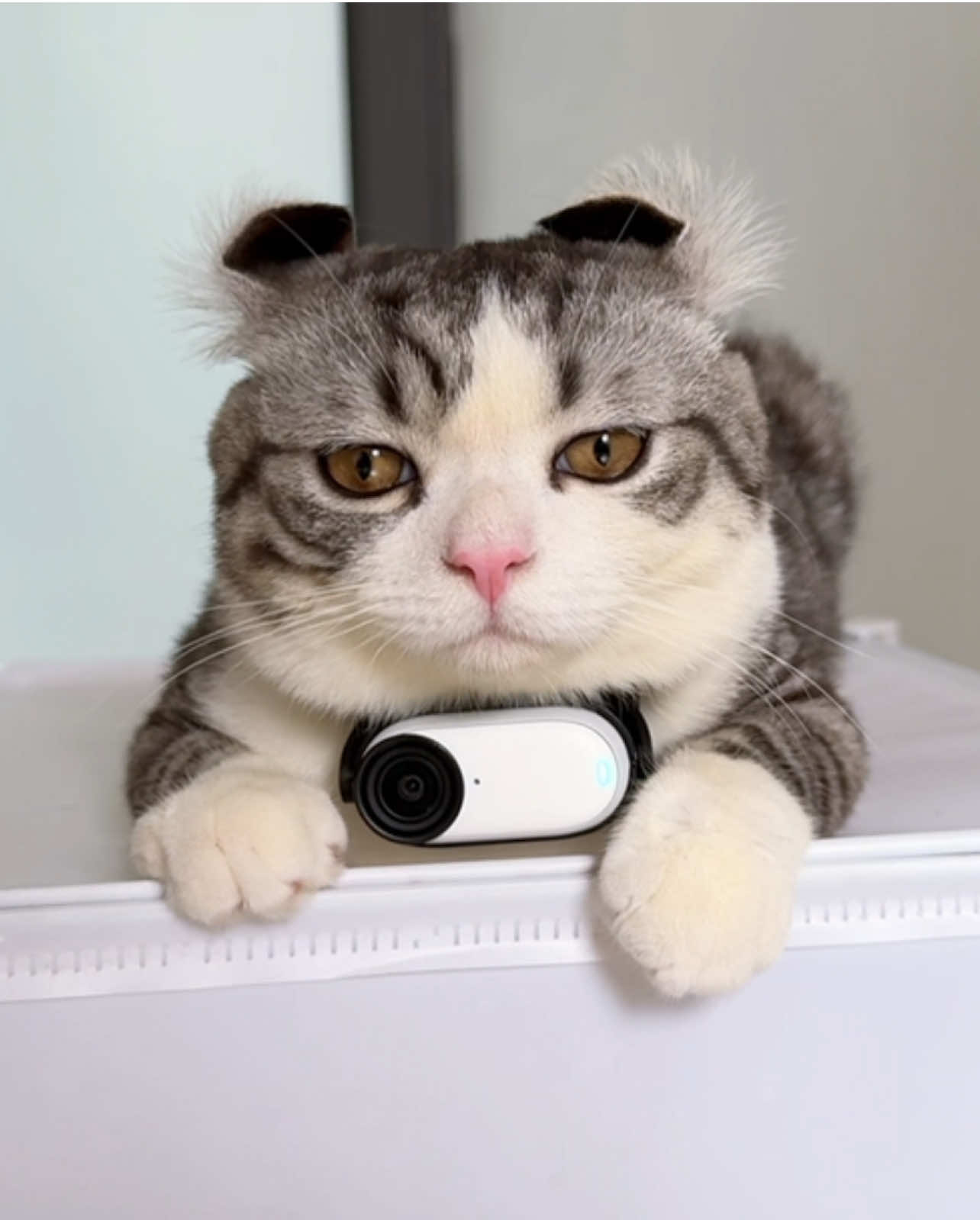 Hoàng hôn hồ tây trong mắt anh Ca 😼 @insta360 official  #insta360 #insta360go3s #Insta360 #pheobinmacca 