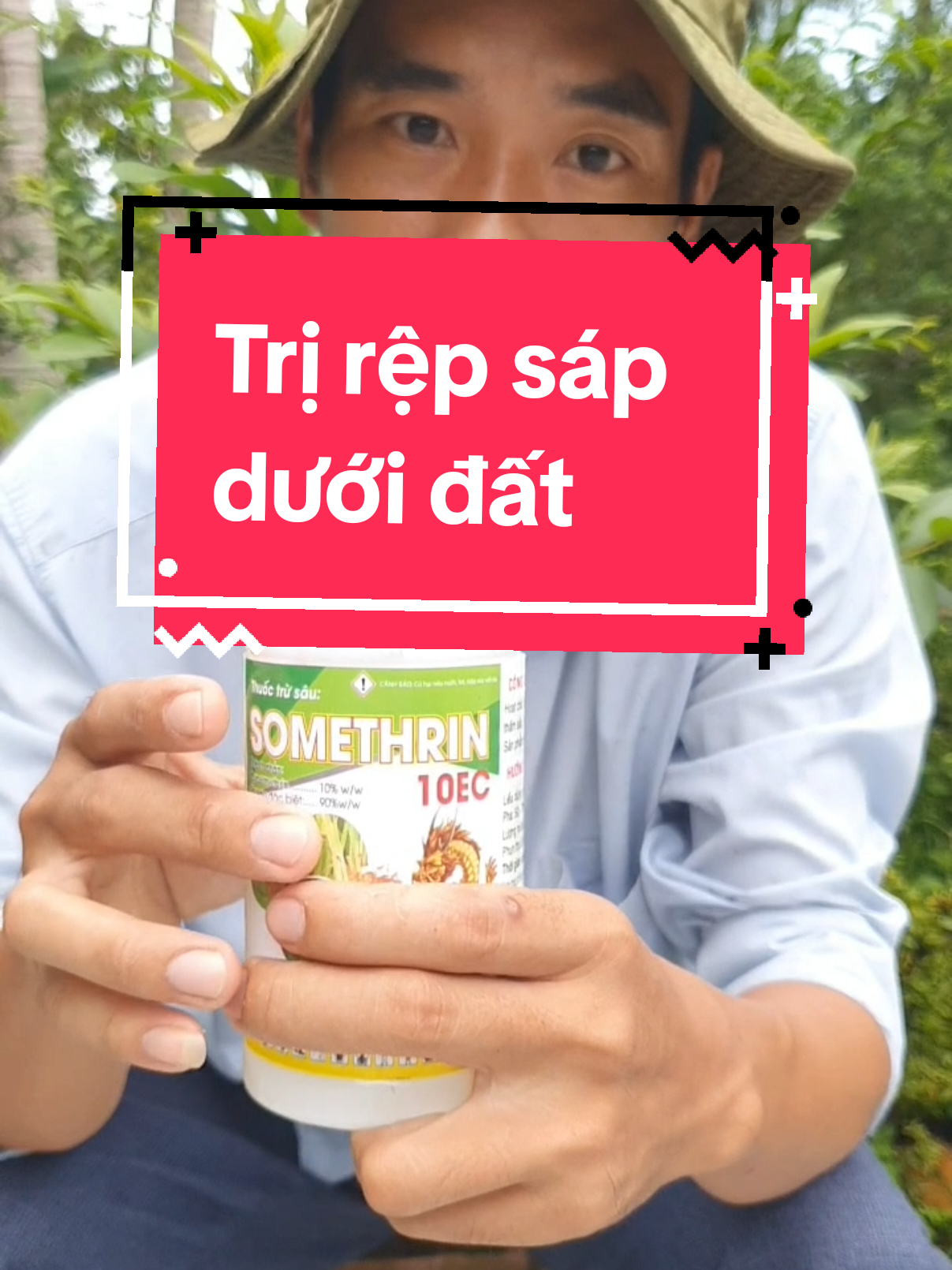 cách trị RỆP SÁP dưới đất#maivang 