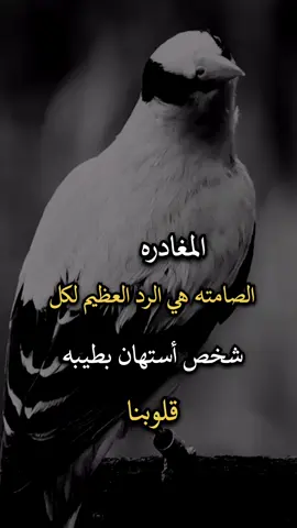 #عباراتكم_الفخمه📿📌 #افضل_عبارة_لها_تثييت #اجمل_عبارة_راح_ثبتها📌 #عبارات 