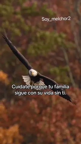 #reflexion #frases #motivation #parati #amor❤️ 