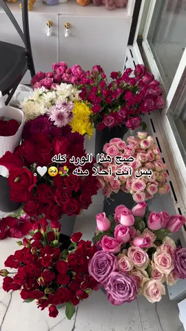 تنسيق الورد الطبيعي والصناعي للحجز واتساب : 07764069981 العنوان / ديالى بعقوبه: سوق بعقوبه فلكه الفاروق⁩ #براء_بائع_الورد #منسق_ورد_طبيعي_وهدايا #تجهيز_بوكيه_ورد #جرب_حظك #سوق_بعقوبه⁩