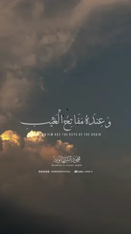 وَعِندَهُ مَفَاتِحُ الْغَيْبِ لَا يَعْلَمُهَا إِلَّا هُوَ ۚ وَيَعْلَمُ مَا فِي الْبَرِّ وَالْبَحْرِ ۚ وَمَا تَسْقُطُ مِن وَرَقَةٍ إِلَّا يَعْلَمُهَا | إذا كان الله يعلم حتى سقوط ورقةٍ في غابةٍ بعيدة، فكيف يخفى عليه همٌّ في قلبك أو دمعةٌ في عينك؟ فاطمئن، كل شيء عنده بعلمٍ وحكمة #محمود_الشحات #راحة_نفسية #جمعة_مباركة 