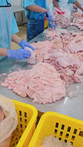 Kulit dada dan kulit paha ayam dari AFCO ini bisa jadi primadona. Kenapa? Karena semua prosesnya sudah halal, sehat, dan higienis sejak awal. Kulit ayam ini langsung diambil dari proses fillet dada dan fillet paha ayam segar, jadi terjamin mutunya. Buat yang suka eksplor resep, kulit ayam bukan sekadar sisa potongan, tapi bahan yang bisa disulap jadi berbagai menu hits dan bernilai jual tinggi. Kulit dada ayam dari AFCO terkenal teksturnya berlemak. Cocok banget buat keripik kulit ayam yang renyah. Cuma perlu sedikit effort membersihkan lemaknya sebelum digoreng supaya hasilnya lebih crispy. Sensasi kriuknya bikin nagih! Kulit dada juga enak banget diolah jadi sate kulit yang gurih. Tinggal direndam bumbu marinasi, tusuk-tusuk, bakar, dan siap jadi menu favorit warung angkringan atau resto kekinian. Buat yang punya ide kreatif, kulit dada bisa juga digiling dalam kondisi beku, dicacah kecil-kecil untuk isian dimsum. Rasanya? Auto mewah dan gurih alami tanpa ribet. Kalau kulit dada dikenal berlemak, beda lagi dengan kulit paha ayam. Kandungan lemaknya lebih sedikit sehingga lebih praktis diolah. Favorit banget buat keripik kulit ayam, karena tinggal celup ke bumbu marinasi khas kamu, balur tepung siap goreng, langsung deh masuk minyak panas. Hasilnya garing, gurih, dan lebih sehat. AFCO memastikan semua kulit ayam yang diproses tetap segar, bersih, dan terjaga kualitasnya. Jadi kamu bisa fokus pada kreativitas masakan tanpa khawatir soal higienitas bahan baku. Buat para pelaku usaha kuliner, bahan baku yang aman dan halal itu penting banget. Dengan bahan dari AFCO, kamu bisa menciptakan menu baru yang nggak cuma lezat tapi juga punya nilai jual tinggi. Dari keripik kulit, sate kulit, sampai dimsum, semua bisa jadi produk andalan dengan bahan baku terpercaya. #kulitayam #bisniskuliner #Kulit Ayam Gapedes #ayamafco 