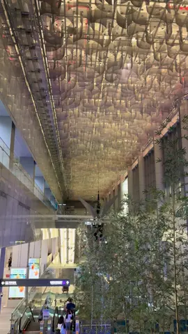 Kalau suka videonya silahkan ambil #mentahanvideo #mentahan #original #taiwan 