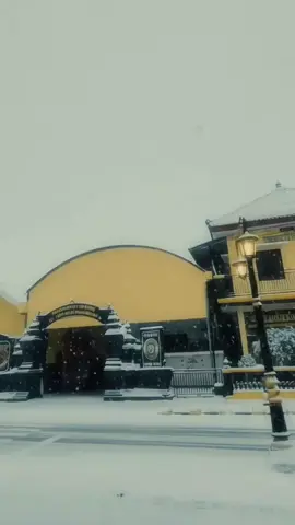🥶 #pshw_tm_1903 #pshwpusatmadiun #pshw