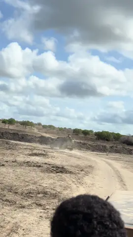 #jubbaland 