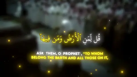 Surah al Mu‘minoon 84-89 / Sheikh Yasser al Dossari / #quran #recitation #القران_الكريم #سورة_المؤمنون #ياسر_الدوسري 