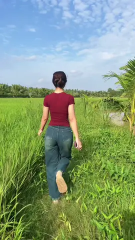 Về Trà Vinh em dắt đi chơi #xuhuong #84travinh #thaoxuan27 #CapCut 