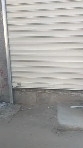 #شعب_الصيني_ماله_حل😂😂 #foryou #الجزائر_تونس_المغرب #foryoupage❤️❤️ 