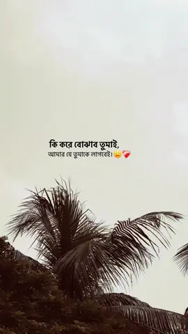 কি করলে বুঝবা।😩🖤#ব্যর্থমানব🖋️🗒️ 
