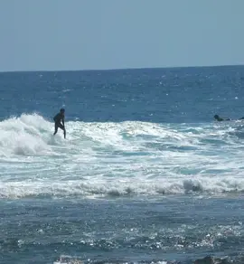 La reunion #surf #fyp #surfing #lareunion #sharkisland 