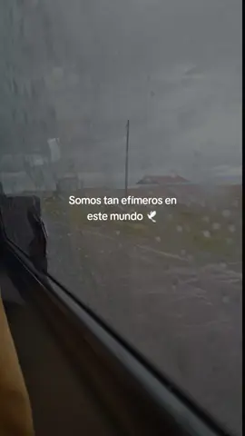 TODO PASA. 🫠🥺#LIVEIncentiveProgram #LIVECareer #PaidPartnership 