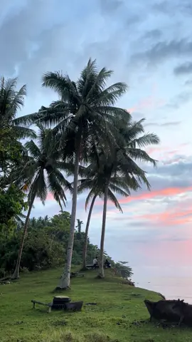 #pantaivibes🌊 #pasangkayu #fyp 